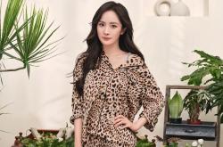 开云体育平台APP-绿茵与硬木的突围交响，当欧冠焦点战遇见吉林队的关键之夜