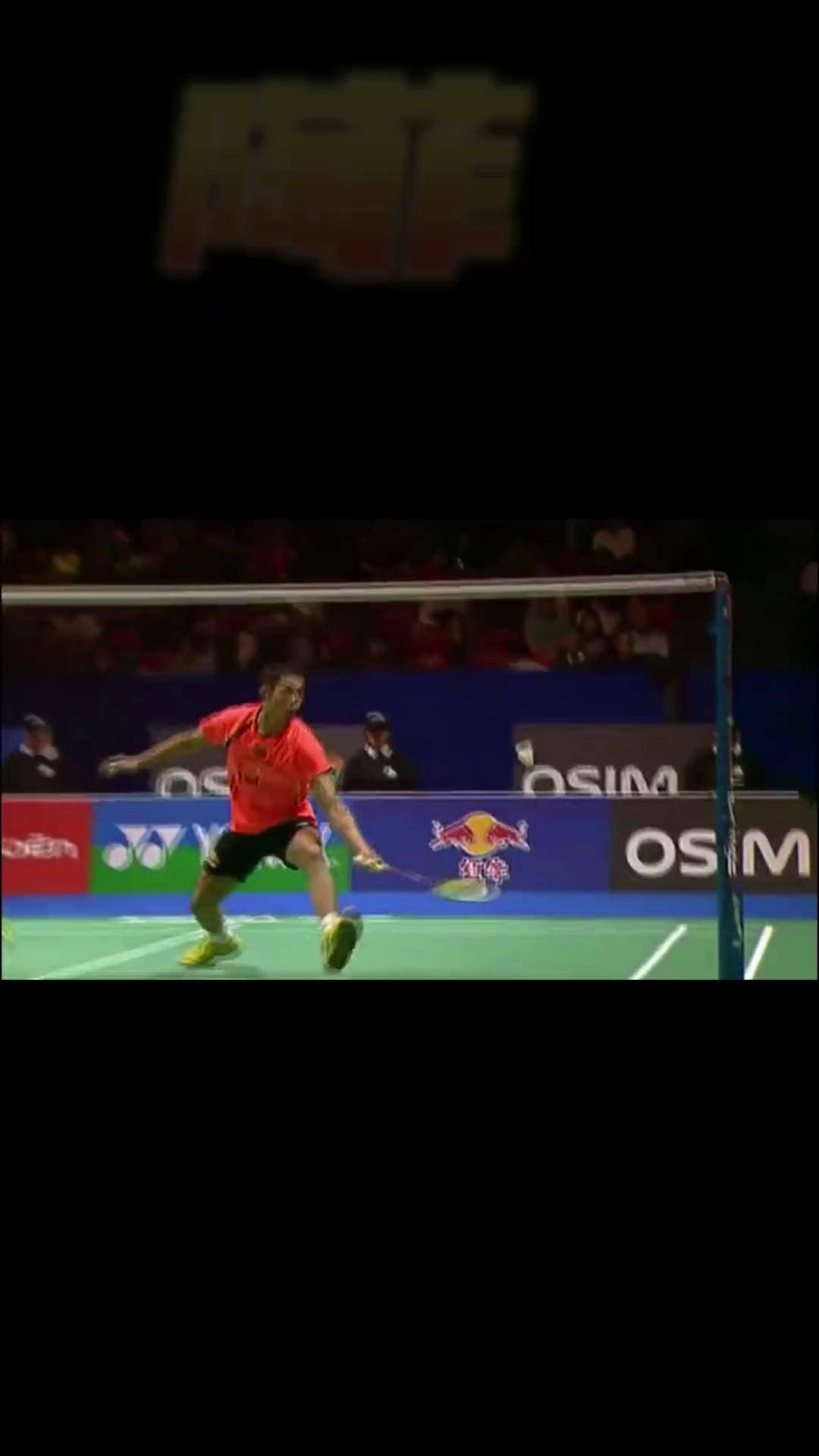 关于法国羽毛球队绝杀泰国羽毛球队，陶菲克爆发神勇的信息