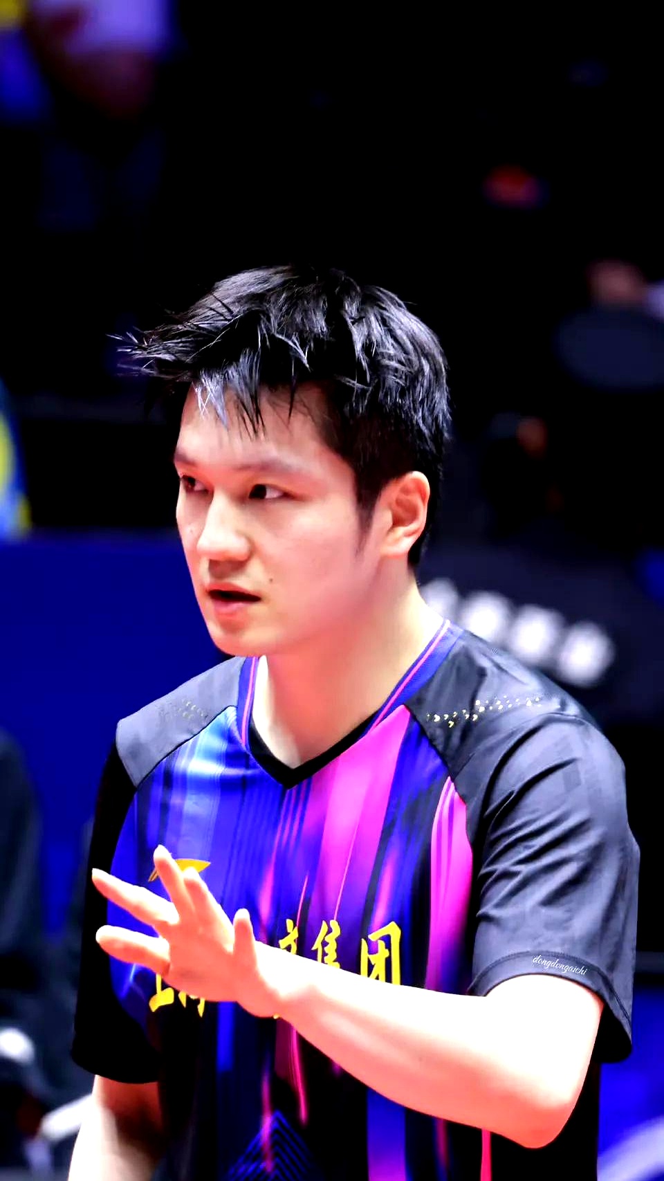 法国乒乓球队绝地反击瑞典乒乓球队，樊振东关键制胜的简单介绍