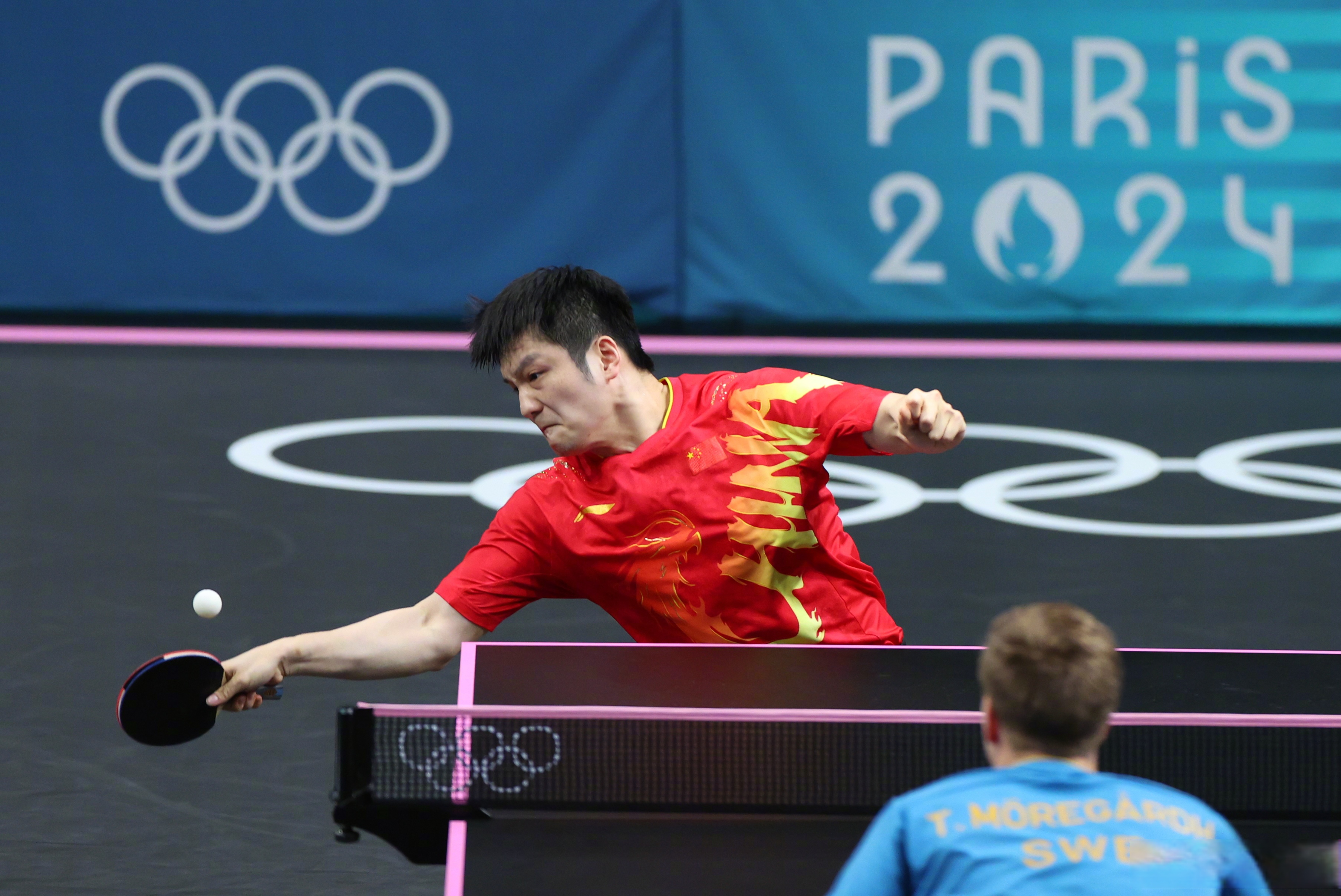 包含法国乒乓球队强势德国乒乓球队，樊振东高光表现的词条