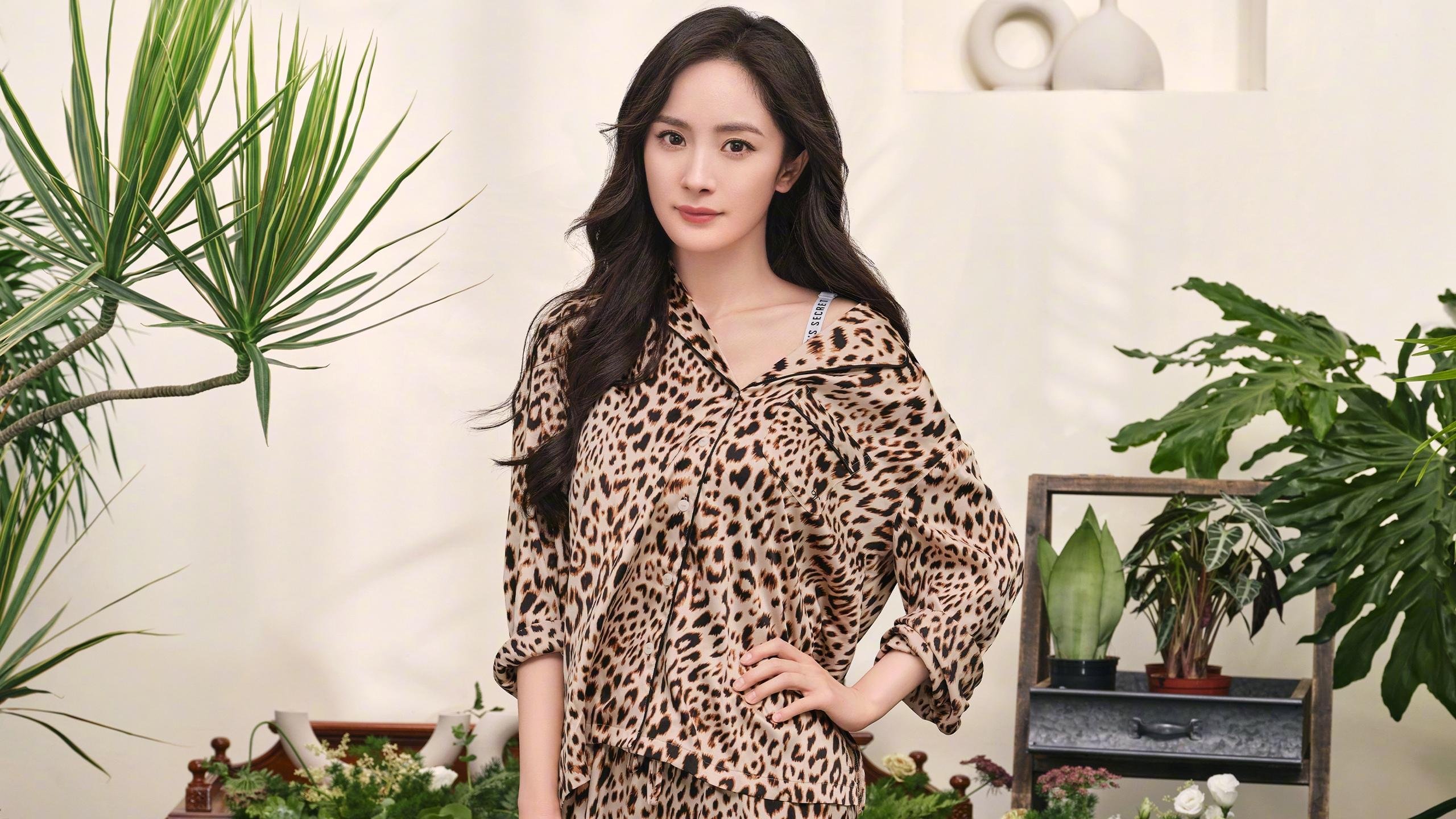 绿茵与硬木的突围交响,当欧冠焦点战遇见吉林队的关键之夜