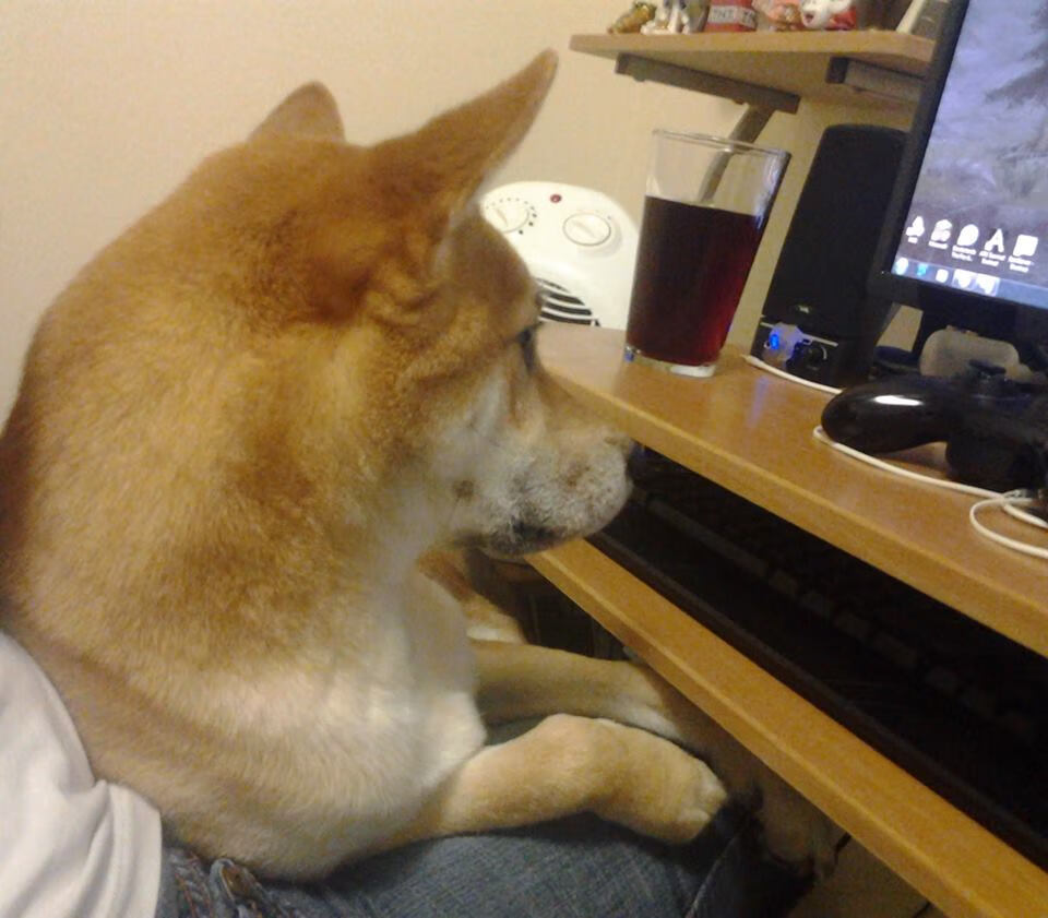 卡马文加闪电破门定乾坤,澳大利亚对阵哥伦比亚提前失去悬念