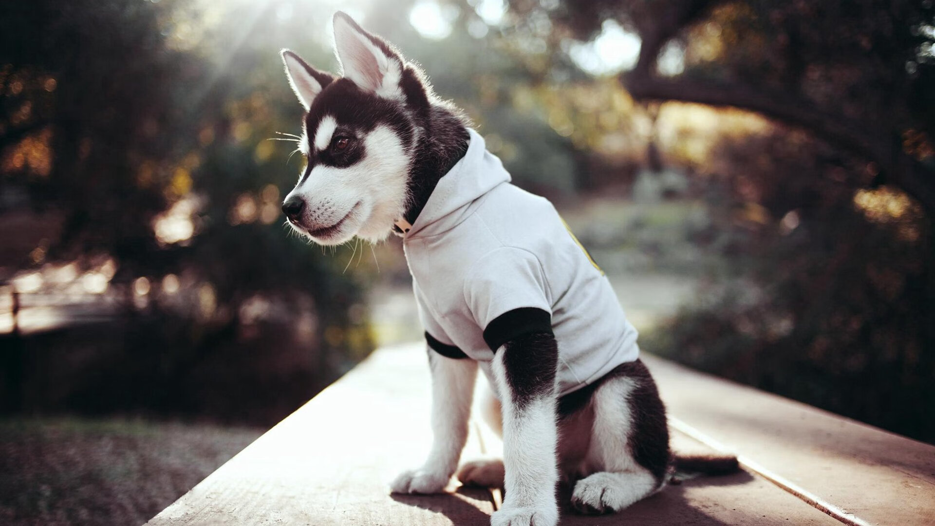 加勒比风暴撕裂北欧壁垒，姆巴佩单骑破阵，牙买加战术革命震撼丹麦