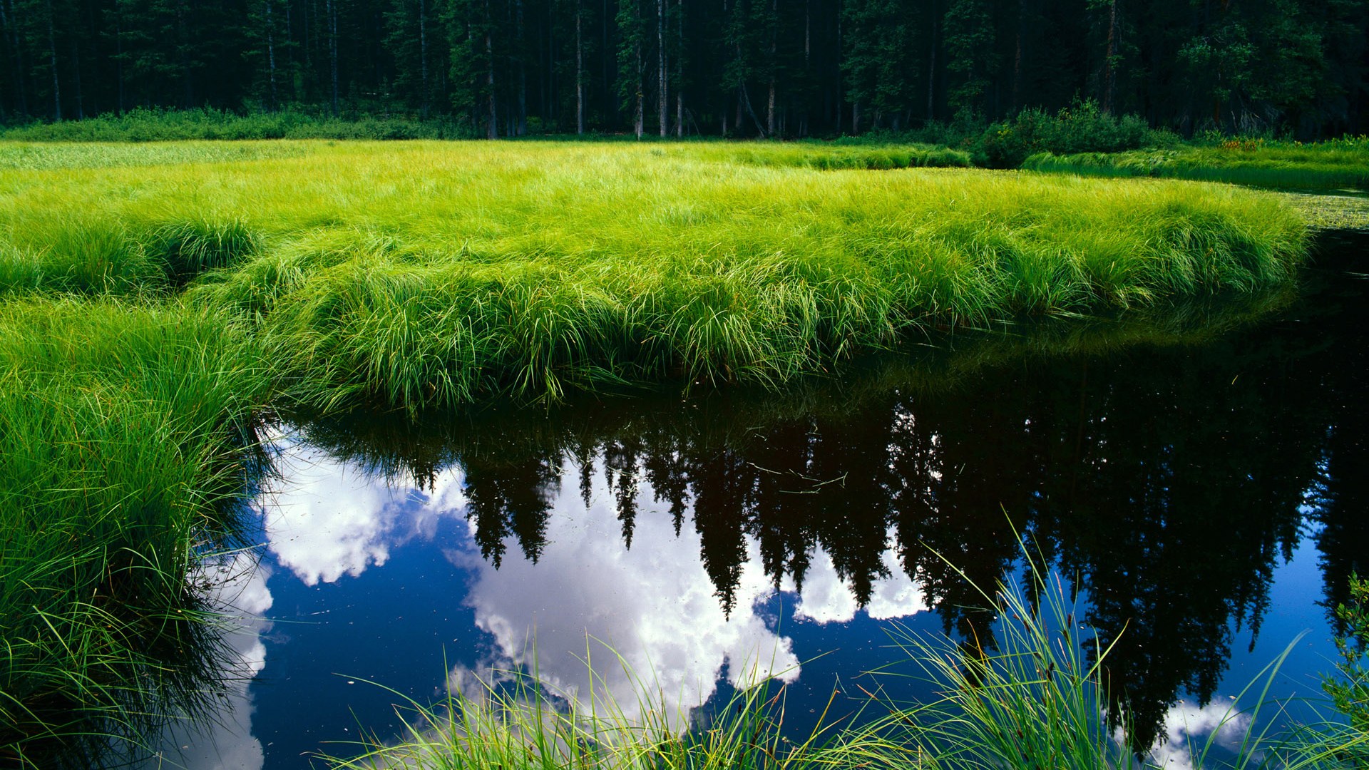 篮网与辽宁的跨时空对决，塔图姆的压制级表演如何定义现代篮球