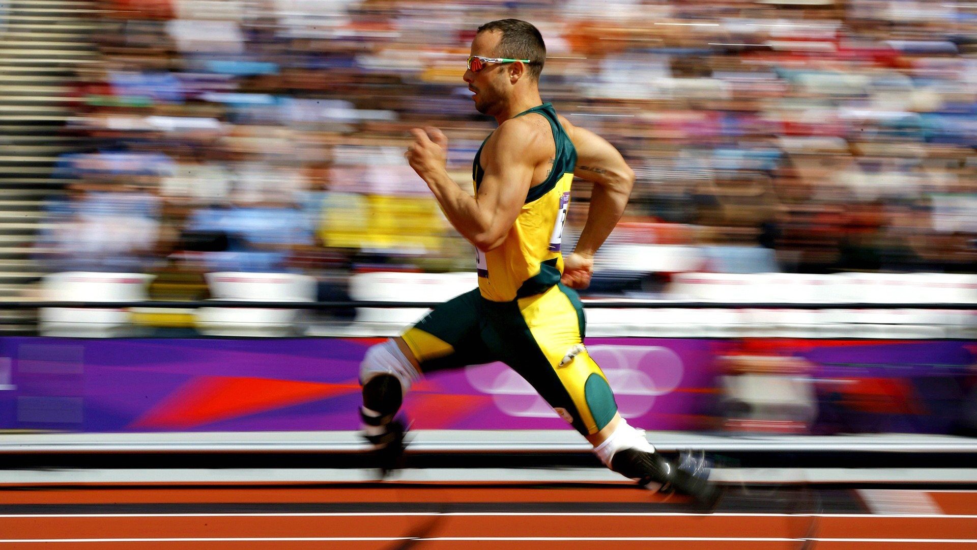 温网绝杀蒙特卡洛大师赛，德约科维奇如何扛起全队，书写网坛唯一性传奇